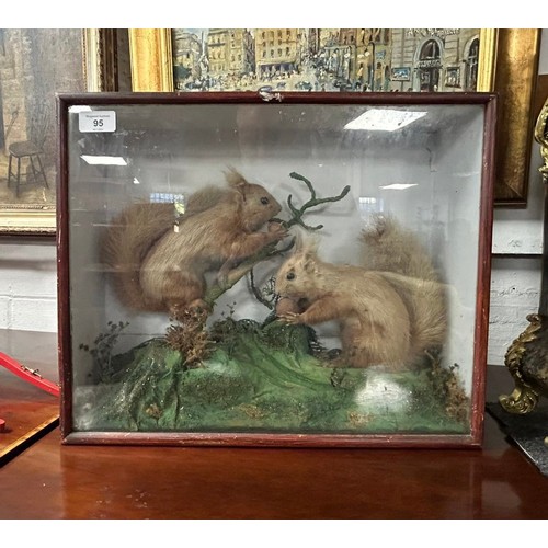 95 - Taxidermy - An early 20th Century cased pair of red squirrels, each mounted and holding a nut, by Sh... 