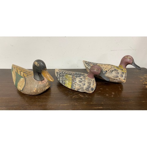 62 - A group of three antique carved and painted decoy ducks -