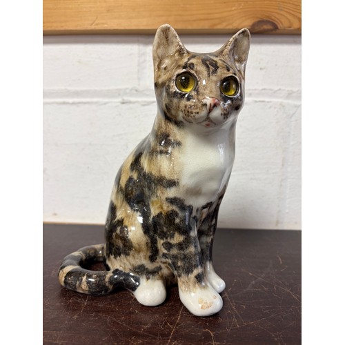 A Winstanley tabby cat -