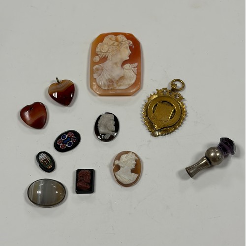 Lot 53        