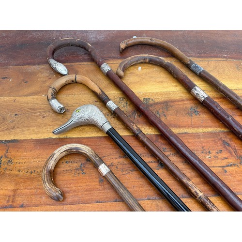 51 - A group of walking sticks , including five with silver mounts -