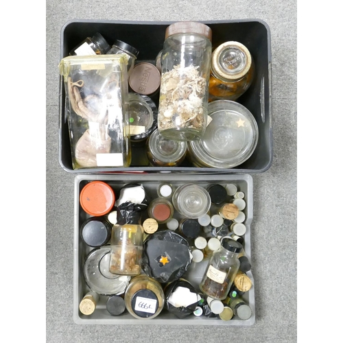 666l - A large collection of Microscopists & collectors preserved specimens(2 trays):