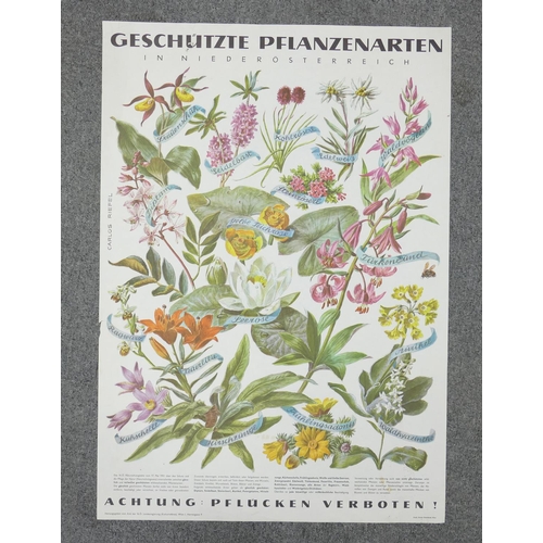 669 - A collection of 13 large Early Continental Chromollithographs Original Prints with Horticultural the... 