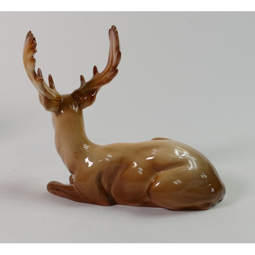 228j - Beswick Stag Lying 954: