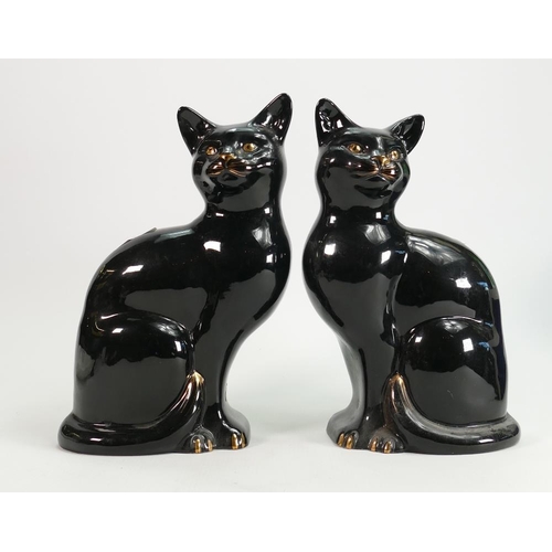 356 - Pair Beswick black & Gold fireplace cats: 1560 & 1561, height 28cm. (2)