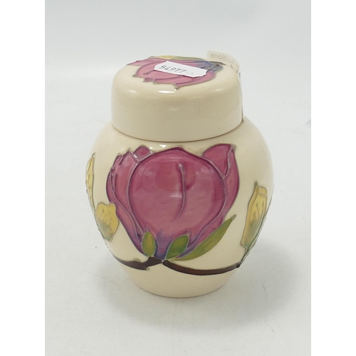 31 - Moorcroft Pink Magnolia on Cream Ground Ginger Jar: height 11cm