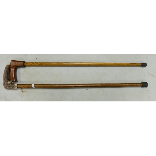 883 - Horn Handled Walking Stick & Similar(2):