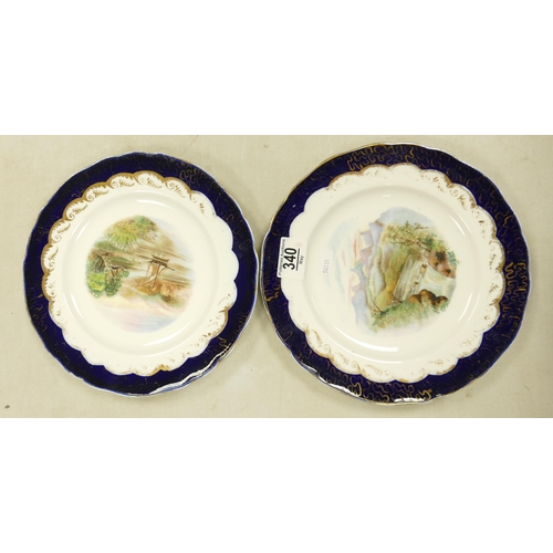 340 - Two Early Hand Painted Coalport Plates, diameter 23.5cm(2)