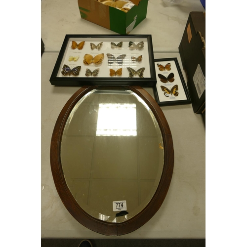 774 - Wooden framed Oval Wall Mirror & Two Framed Sets of Mounted Butterflies(3)