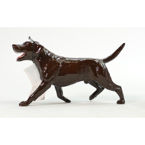 142 - Beswick walking chocolate Labrador 3062B: Collectors Club Special