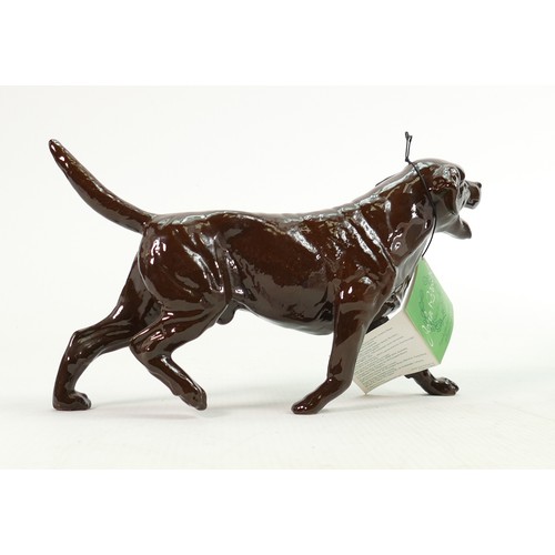 142 - Beswick walking chocolate Labrador 3062B: Collectors Club Special