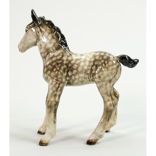 161 - Beswick Shire foal 951 in scarce rocking horse grey colourway: Right ear has a clean break at tip an... 