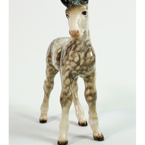 161 - Beswick Shire foal 951 in scarce rocking horse grey colourway: Right ear has a clean break at tip an... 