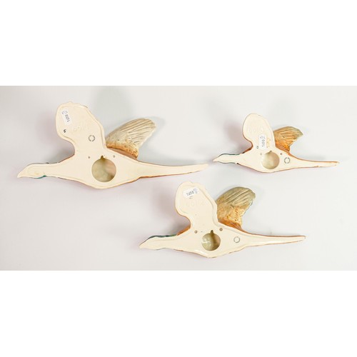 154 - Beswick set of three flying Pheasant wall plaques: Models 661-1, 661-2 & 661-3 (3)