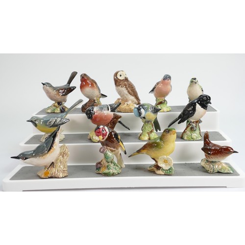 137 - A collection of small Beswick birds to include: Robin, Goldfinch, Greenfinch, Blue tit, Whitethroat,... 