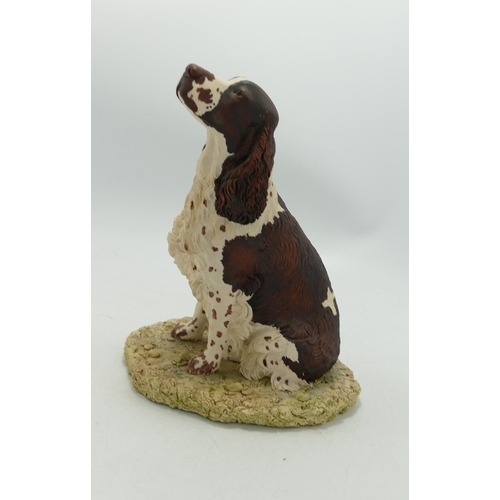 208 - Border Fine Arts Figure English Springer Spaniel: height  19cm