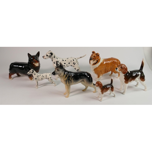 312 - A Collection of Beswick dogs: To include Beswick Dalmatians 961 & 1763, Beagles 2300 & 1939 , Corgi ... 