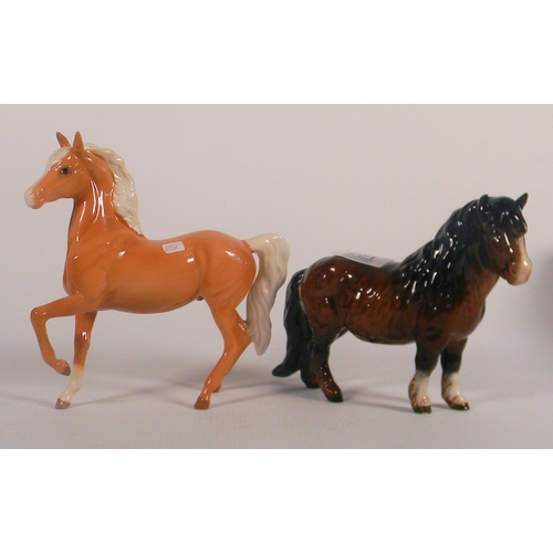 251 - Beswick Shetland pony: together with a prancing palomino. Both have restored ears