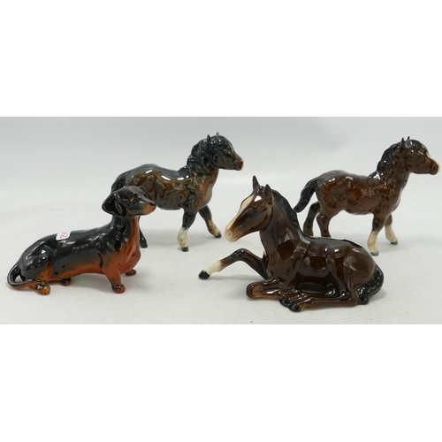 295 - Beswick foal lying 915 , 2 x Shetland foals 1034 together with a seated Dauchshund 1460 (4)