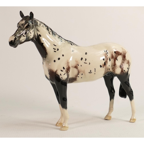 353 - Beswick Appaloosa Horse 1772