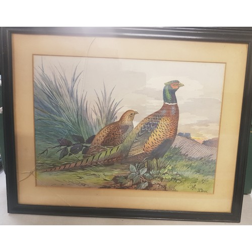 25 - A group of three framed Edwardian watercolours by James Edwin Dean (1880-1935), depicting pheasants,... 