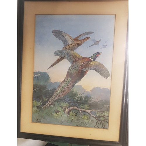 25 - A group of three framed Edwardian watercolours by James Edwin Dean (1880-1935), depicting pheasants,... 