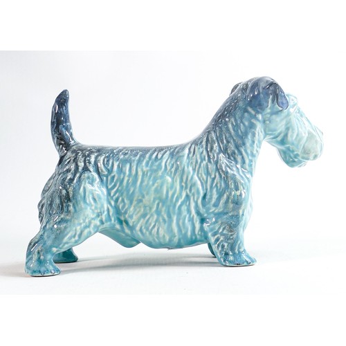 140 - Beswick blue gloss model of a Sealyham terrier 302.