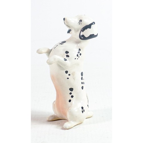 148 - Rare Beswick Dachshund begging 1461, in unrecorded white & black spotted colour way.