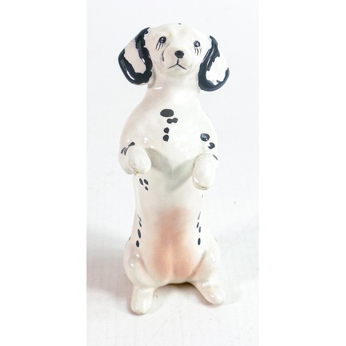 148 - Rare Beswick Dachshund begging 1461, in unrecorded white & black spotted colour way.