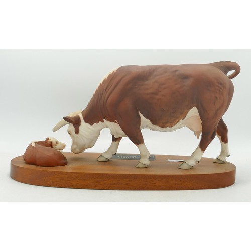 153 - Beswick Connoisseur model of Hereford cow and calf A2667.