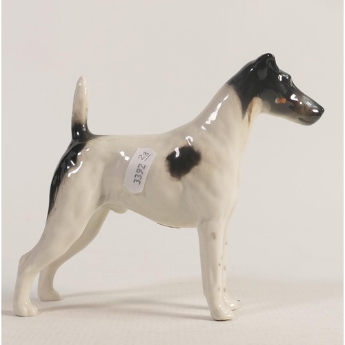 156 - Beswick smooth haired Fox terrier 964 Endon Black Rod.