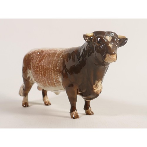 158 - Beswick Dairy Shorthorn bull 1504.