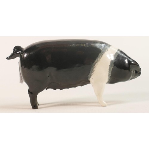 185 - Beswick Wessex Saddleback sow 'Merrywood Silver Wings 56th' model 1362.