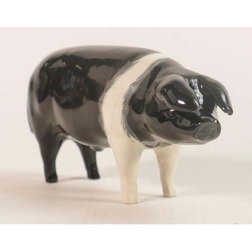 186 - Beswick Wessex Saddleback Boar 'Fairacre Viscount 3rd