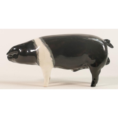 186 - Beswick Wessex Saddleback Boar 'Fairacre Viscount 3rd