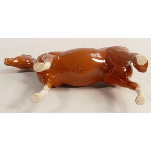 261 - Beswick chestnut Imperial horse 1557. a/f. Ends of Both ears chipped and some loss.