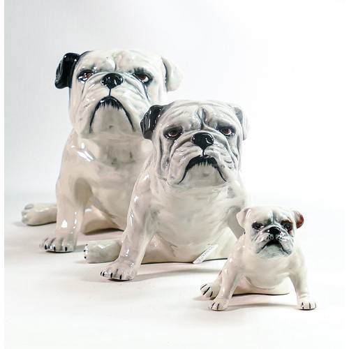 585 - Carltonware Set of three graduated Bulldog figures, largest 28cm. (3)