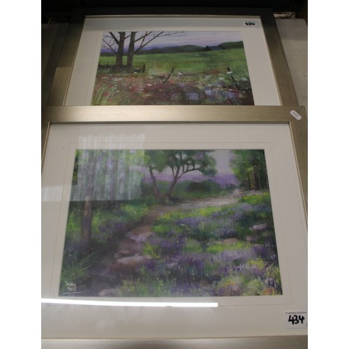 434 - Two framed Debbie Neill prints, frame size 57cm x 47cm (2).