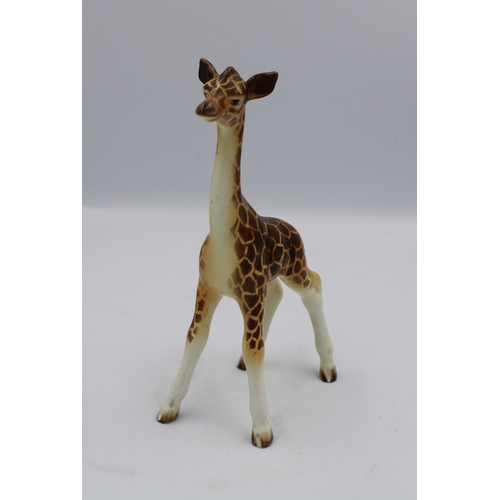 491 - Beswick Giraffe calf 853.