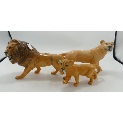 Beswick Lion family comprising Lion 2089 , Lioness 2097 and cub 2098 (3)