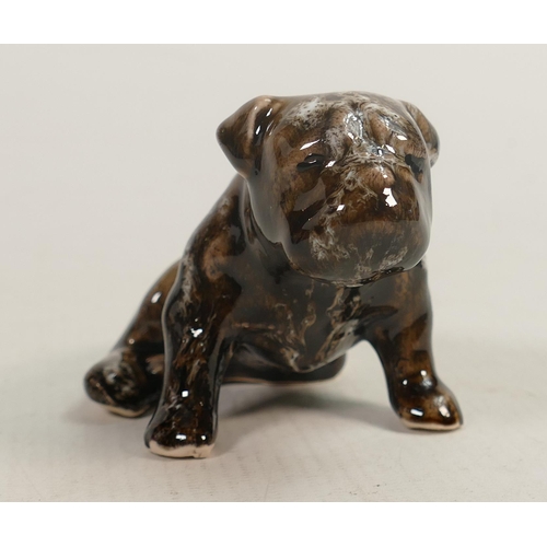 568 - Anita Harris model of a British bulldog. Gold signed to base, height 13cm