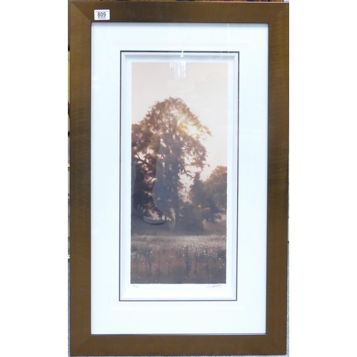 809 - John WATERHOUSE (1967),signed and numbered limited edition print 