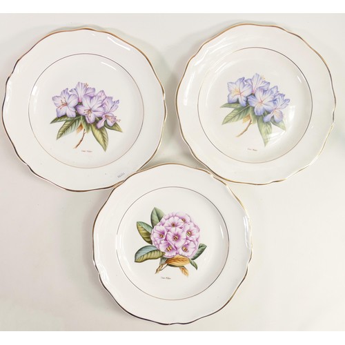 491 - Three hand decorated wall plates with images of flowers, signed Liam Millar, each with diameter of 2... 