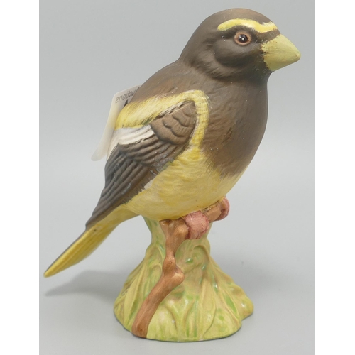 144 - Beswick Evening Grosbeak 2190