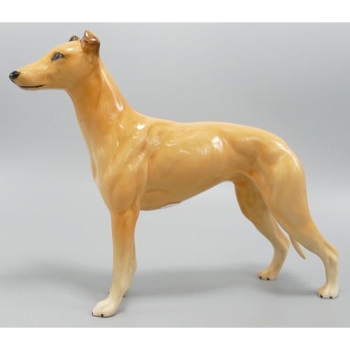 249 - Beswick Greyhound Jovial Roger 972