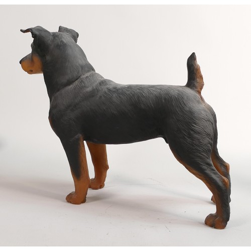 89 - North Light large resin figure of a Terrier, height  28cm.  This was removed from the archives of th... 