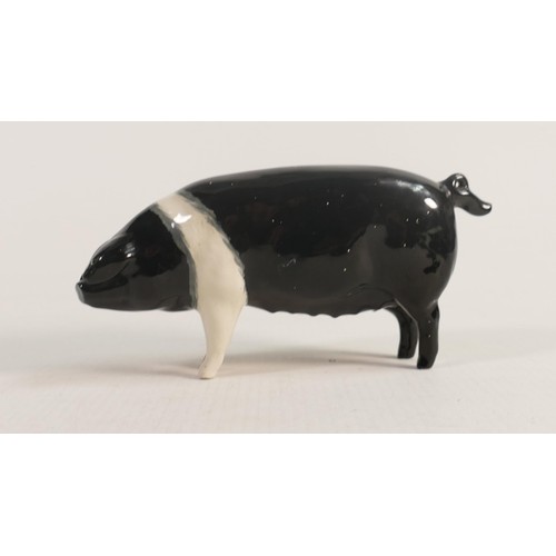 521 - Beswick Wessex Saddleback Sow Merrywood Silver 1511