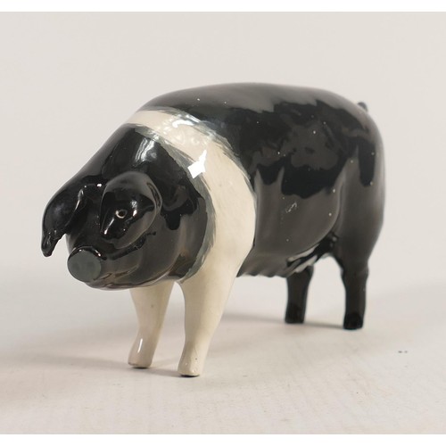 521 - Beswick Wessex Saddleback Sow Merrywood Silver 1511