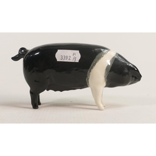 521 - Beswick Wessex Saddleback Sow Merrywood Silver 1511