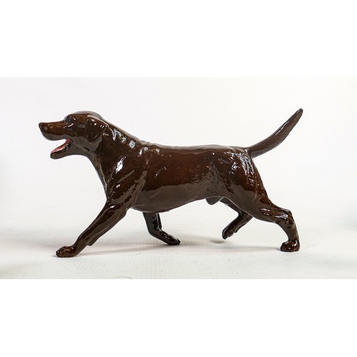 522 - Beswick walking chocolate labrador 3062B,
limited edition Collectors Club Special of 93 in 1993.